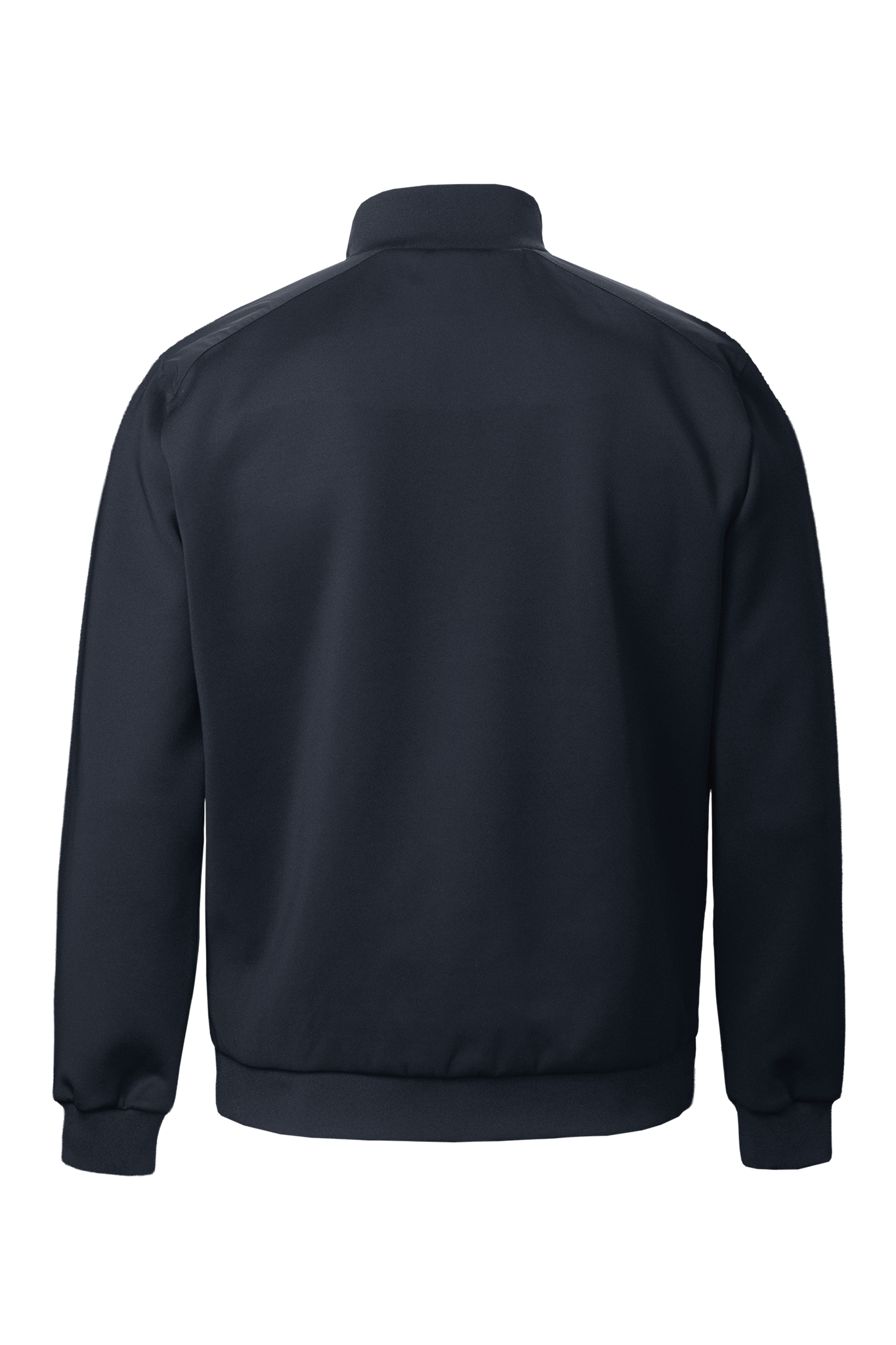 Westlake Men Navy Back